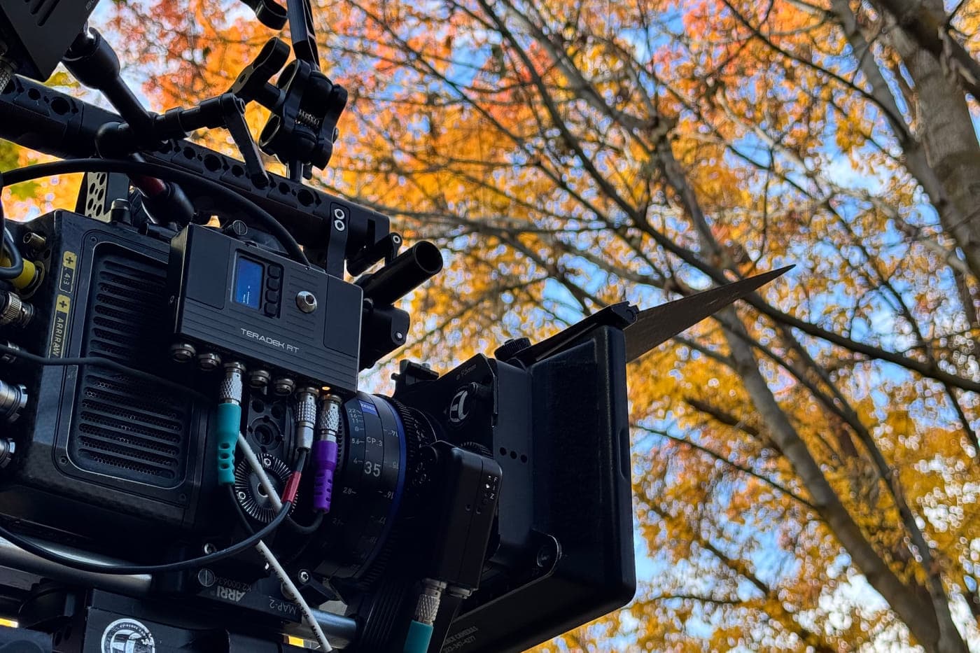 A 35mm cine prime and matte box on a camera body, shooting up into an autumn canopy